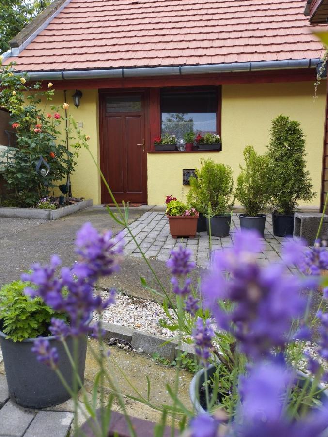 Kis Apartmanhaz Balatonfüred Dış mekan fotoğraf